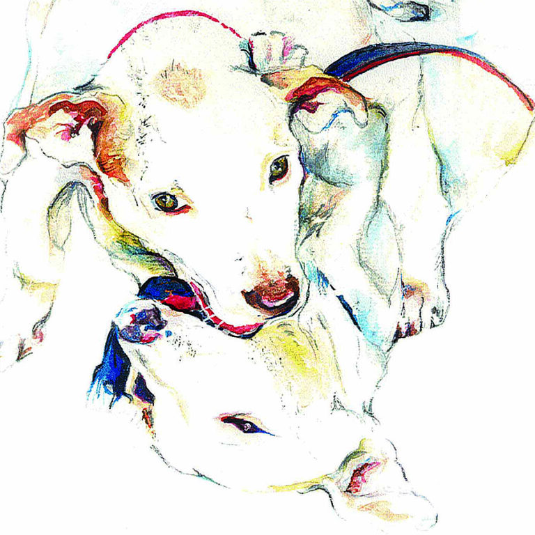 Puppyfight in watercolour inks